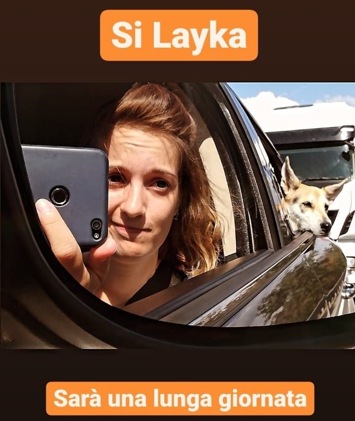 Layka in viaggio!